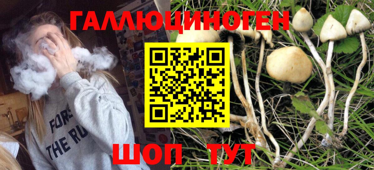 продажа наркотиков  Галлюциногенные грибы MAGIC MUSHROOMS  Вход с VPN  Егорьевск  Псилоцибиновые грибы мицелий 