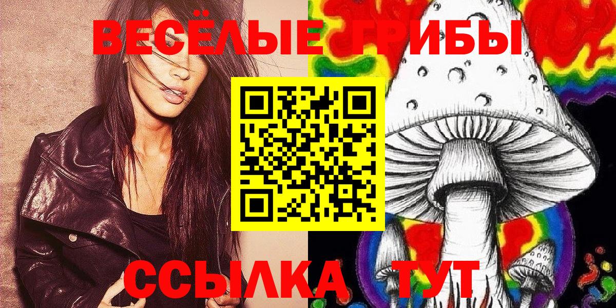 Галлюциногенные грибы Psilocybine cubensis Егорьевск
